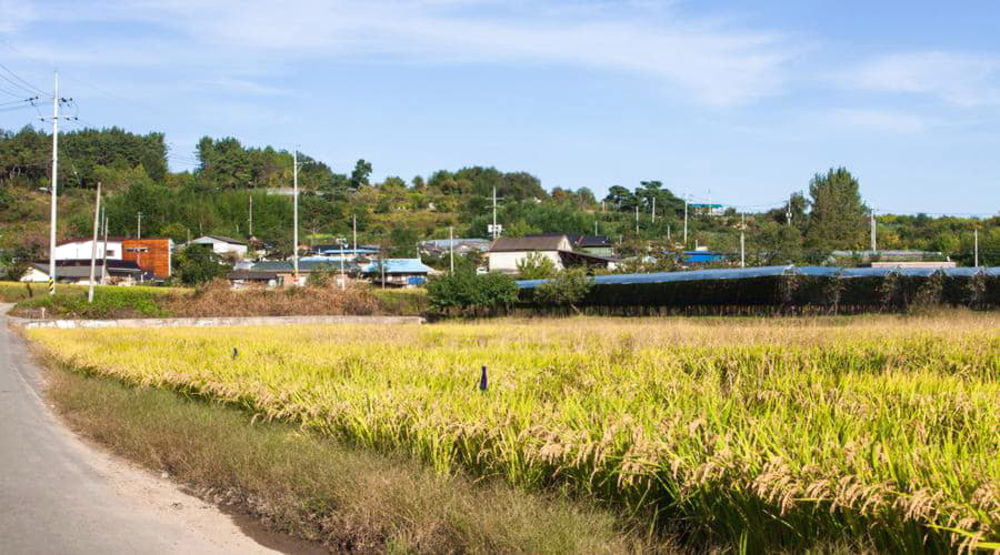 永川でのトップレンタカーオファー